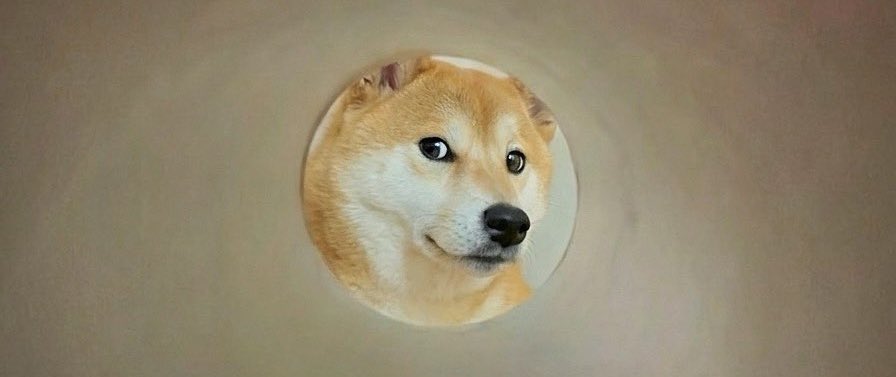 やまぴくん tweet media