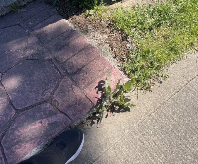 JuntosXLegaNorte tweet media