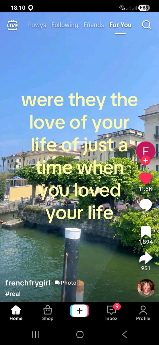 jø 🐾 || SHEDTWT tweet media