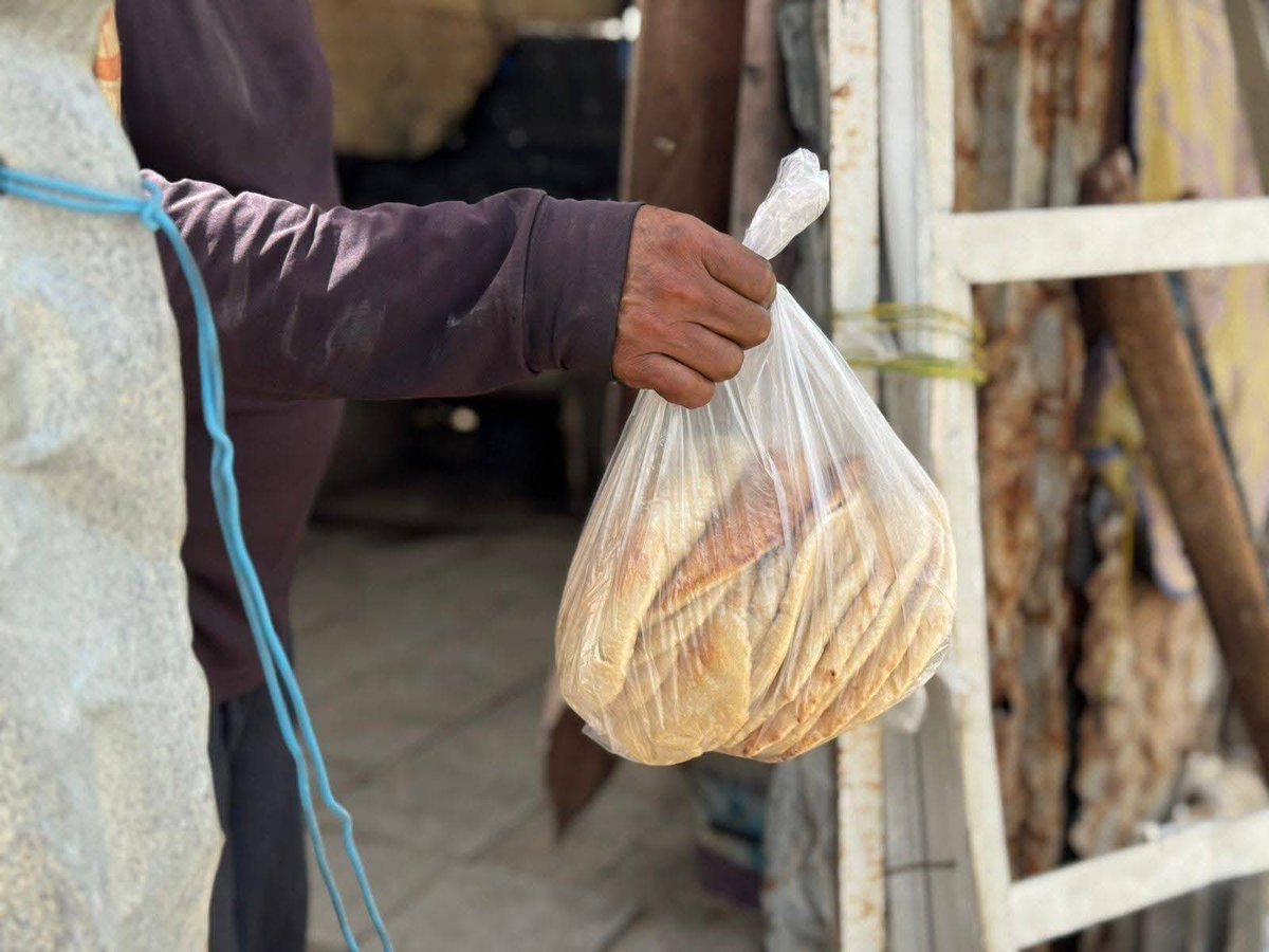 Support Gaza🇵🇸 tweet media