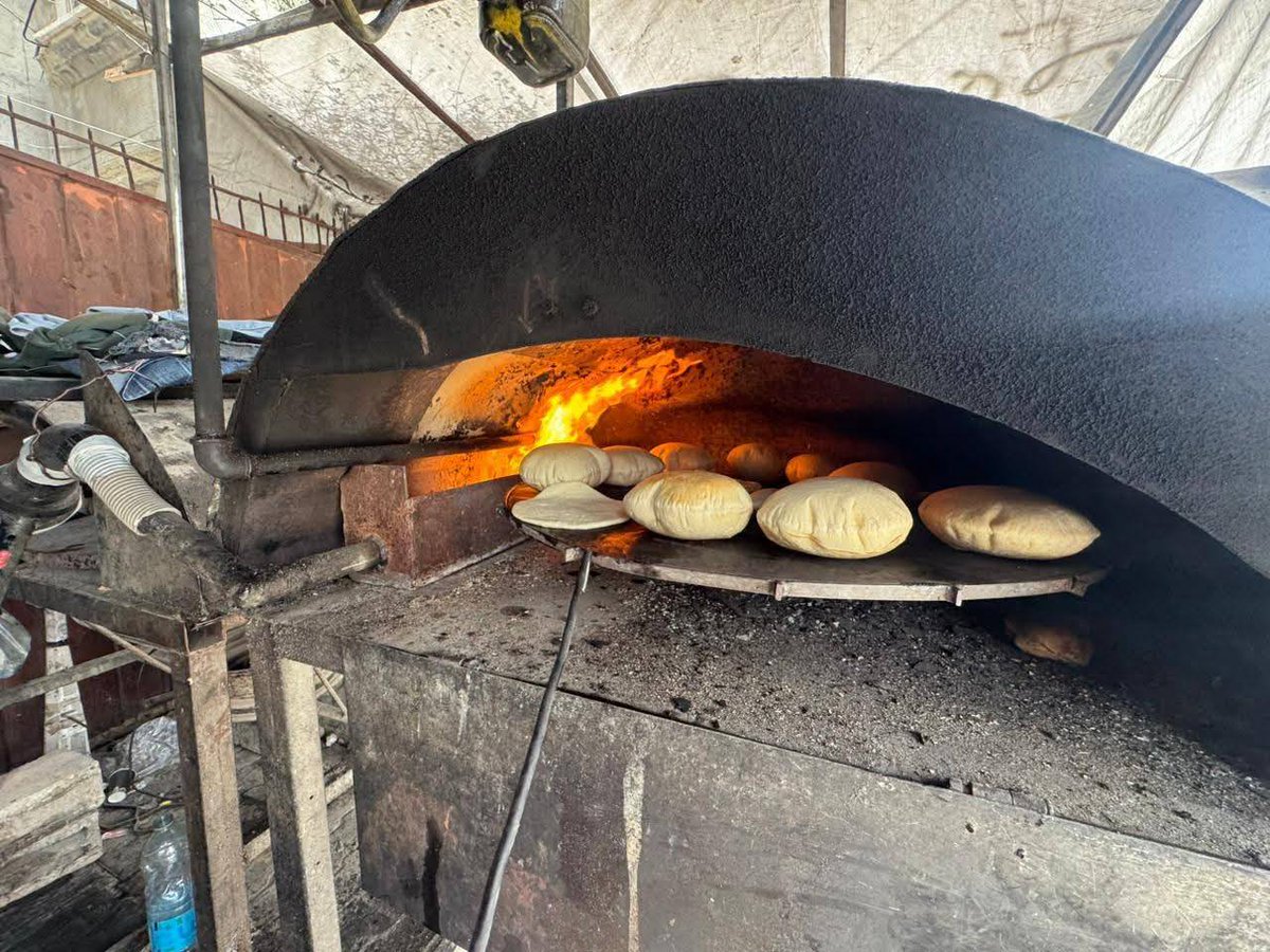 Support Gaza🇵🇸 tweet media