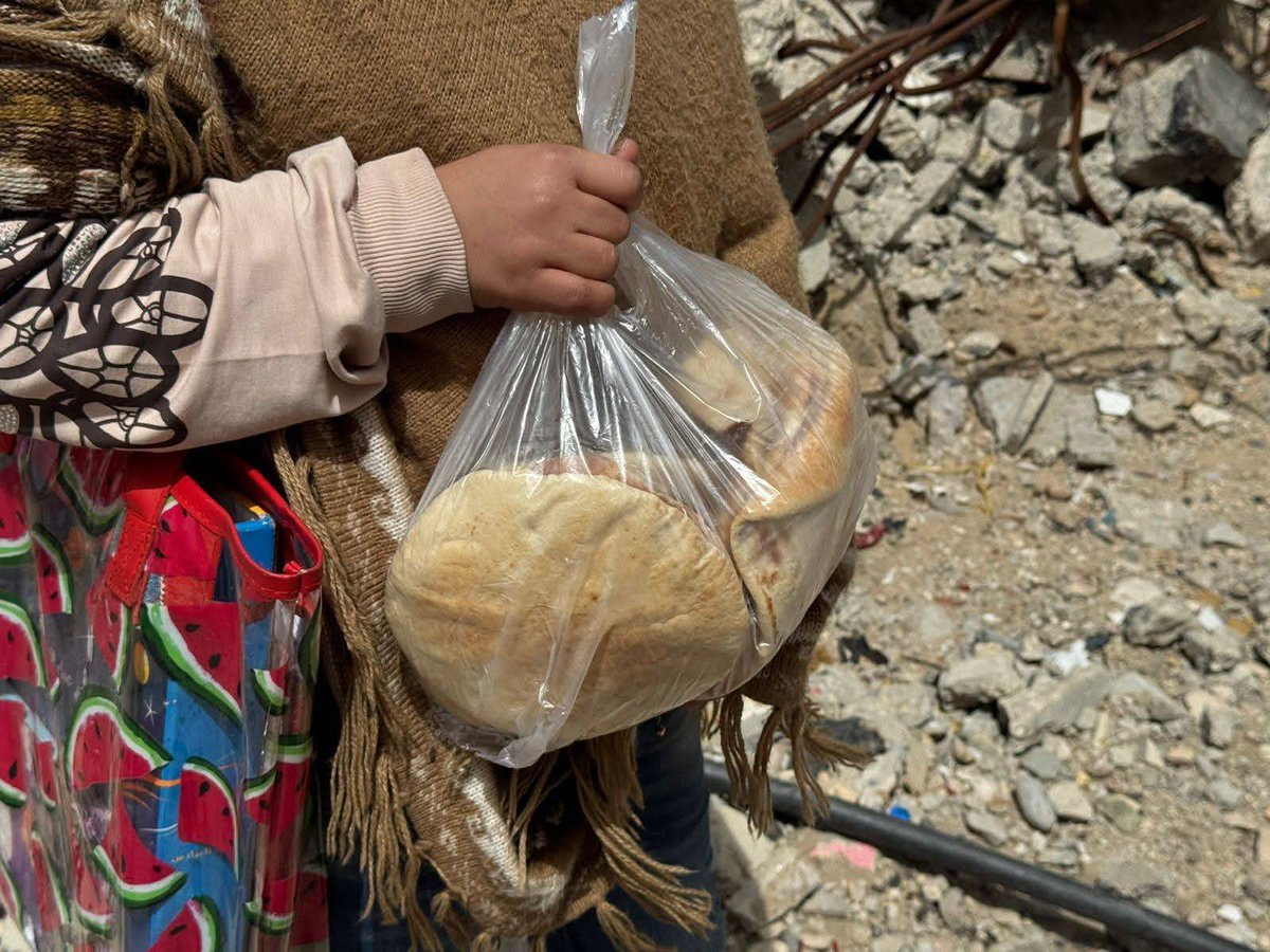 Support Gaza🇵🇸 tweet media