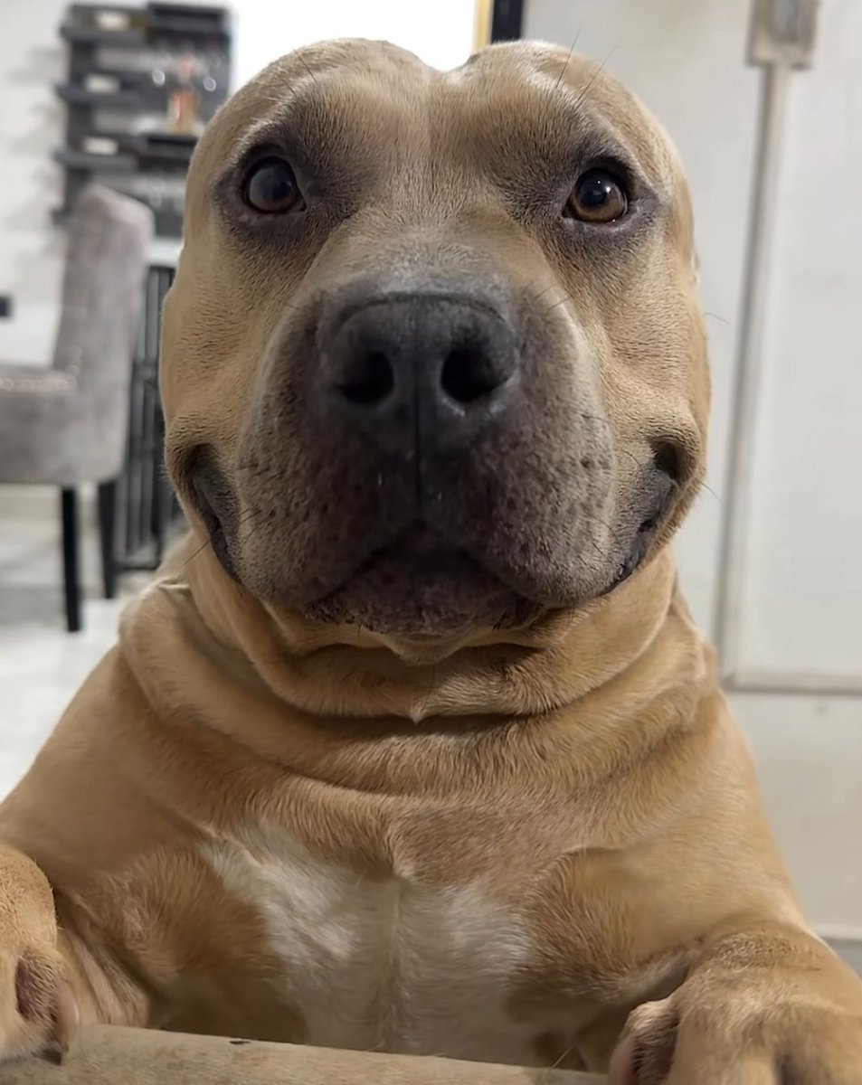 alex 🦇 tweet media