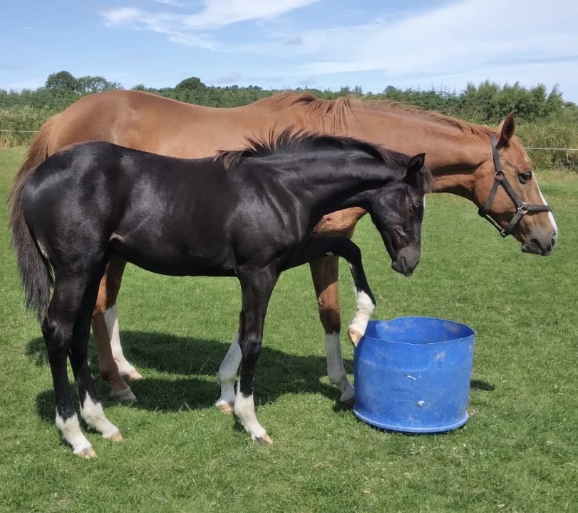 Lucy Snowden tweet media