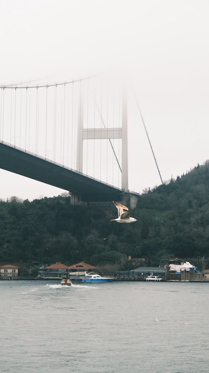 Rahime Gül tweet media
