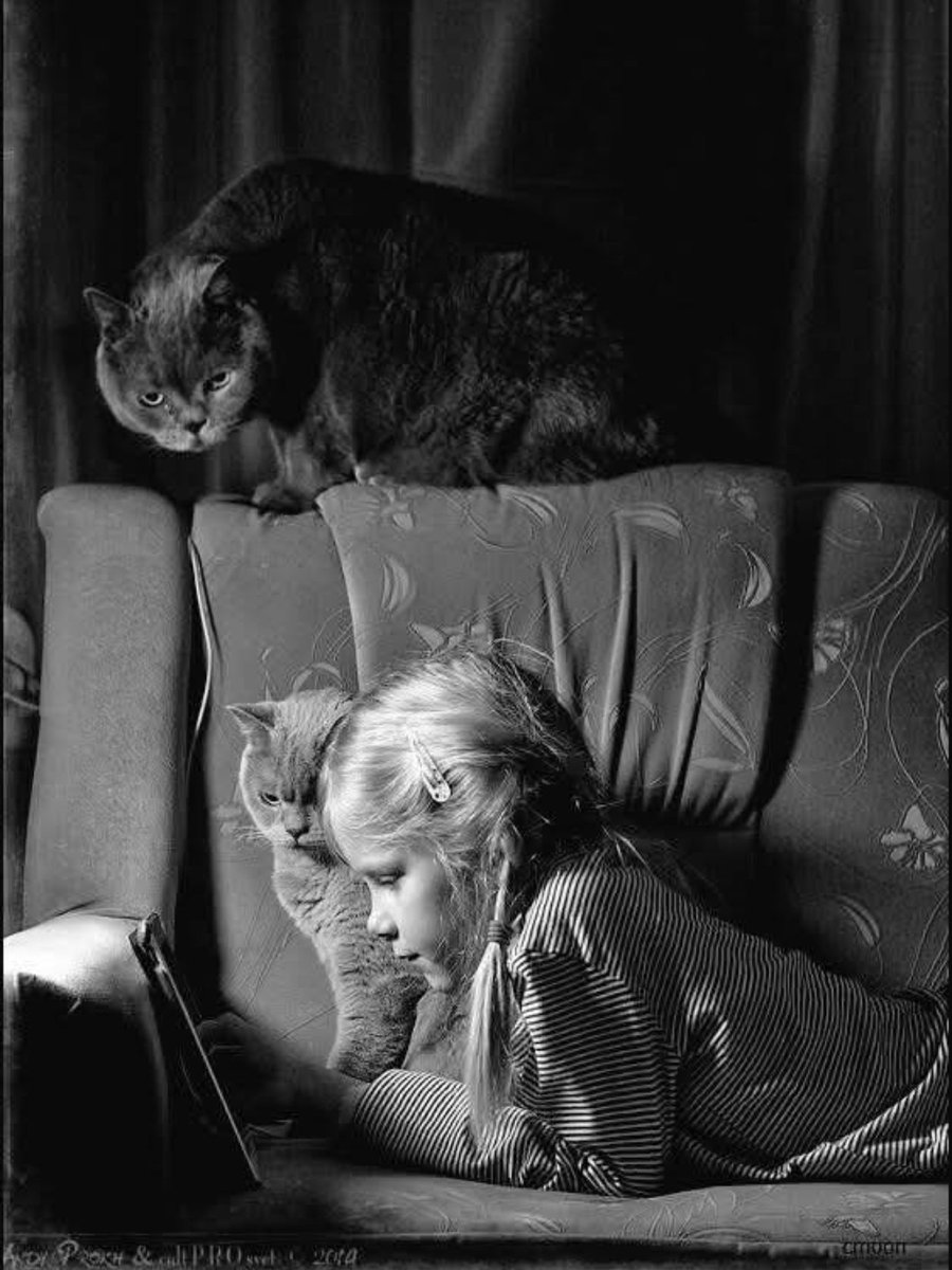 Apostrophe tweet media