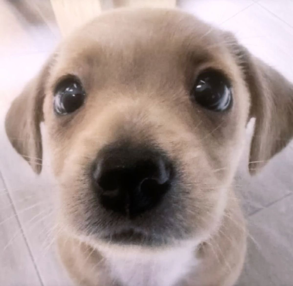 𝖒𝖆𝖟𝖎 ✧ tweet media