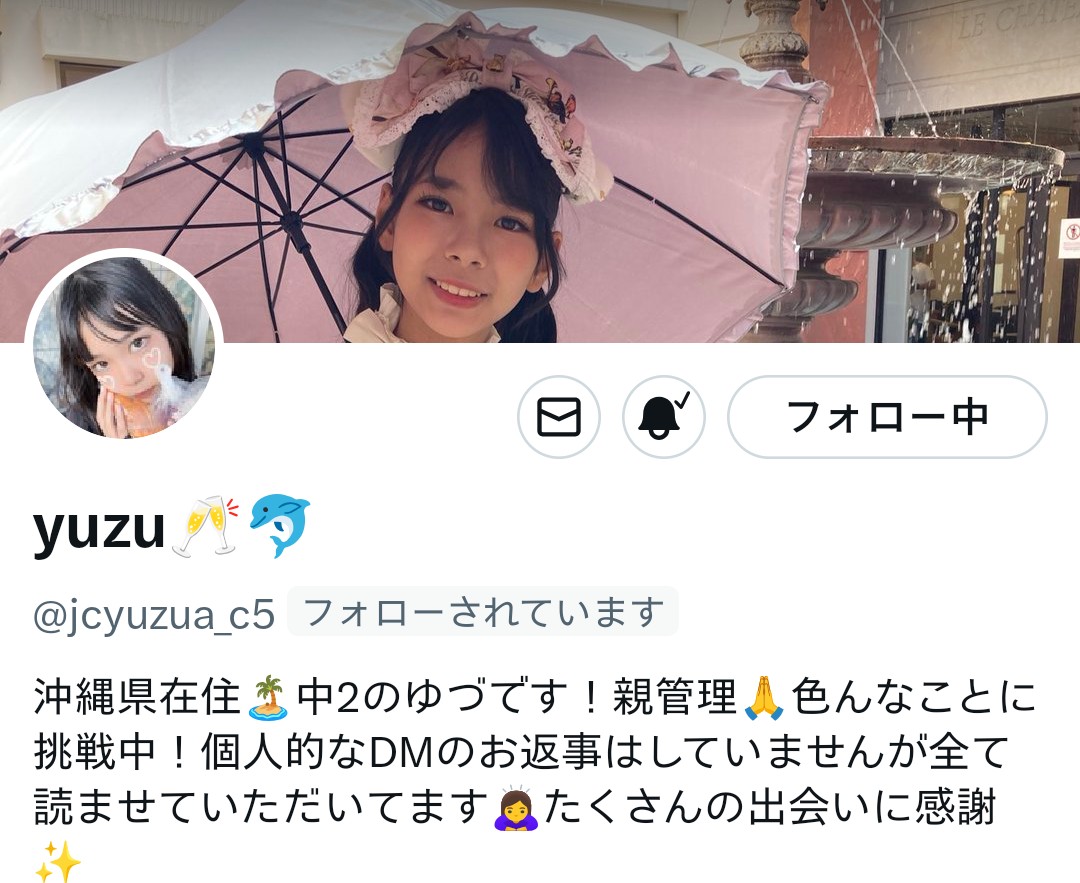 ぬーちゃん 🐶🐱 tweet media