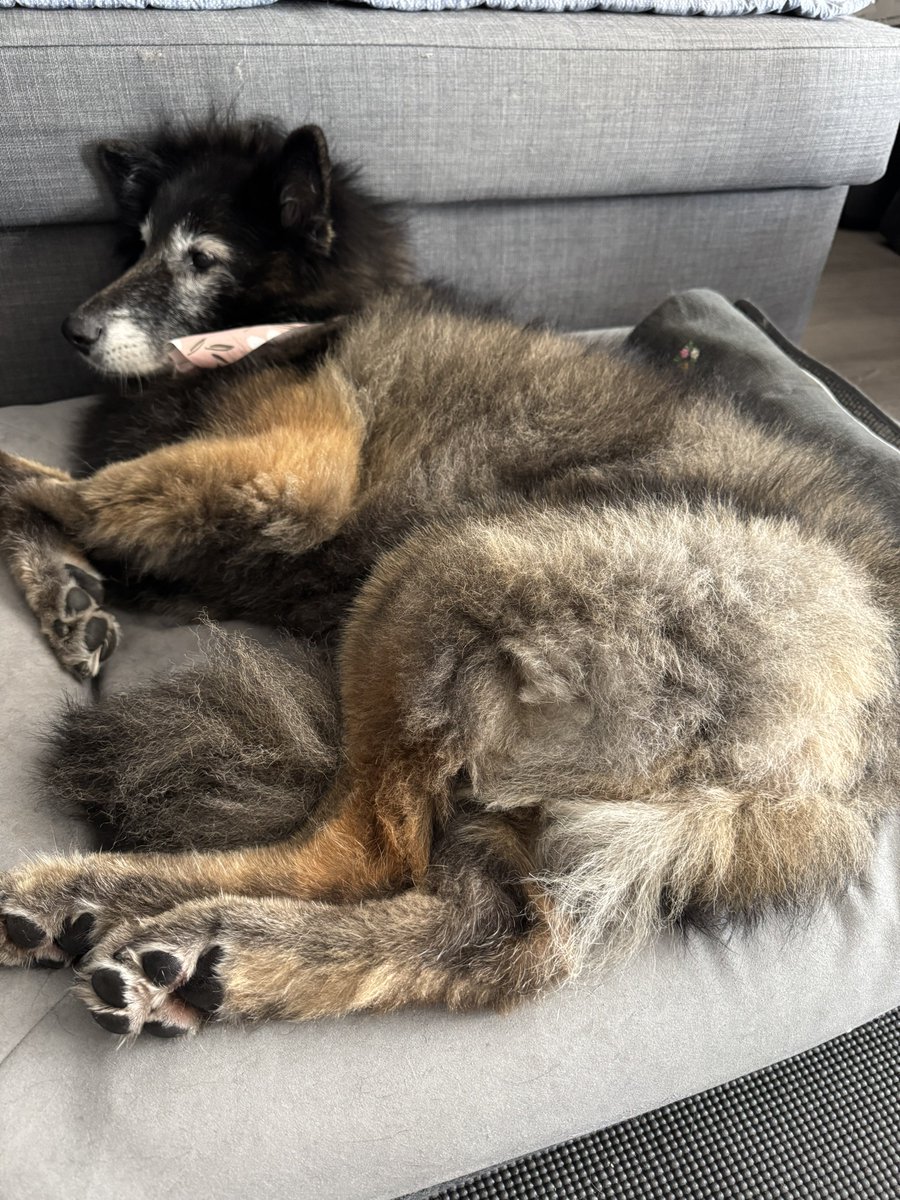 💜란/47💙 tweet media