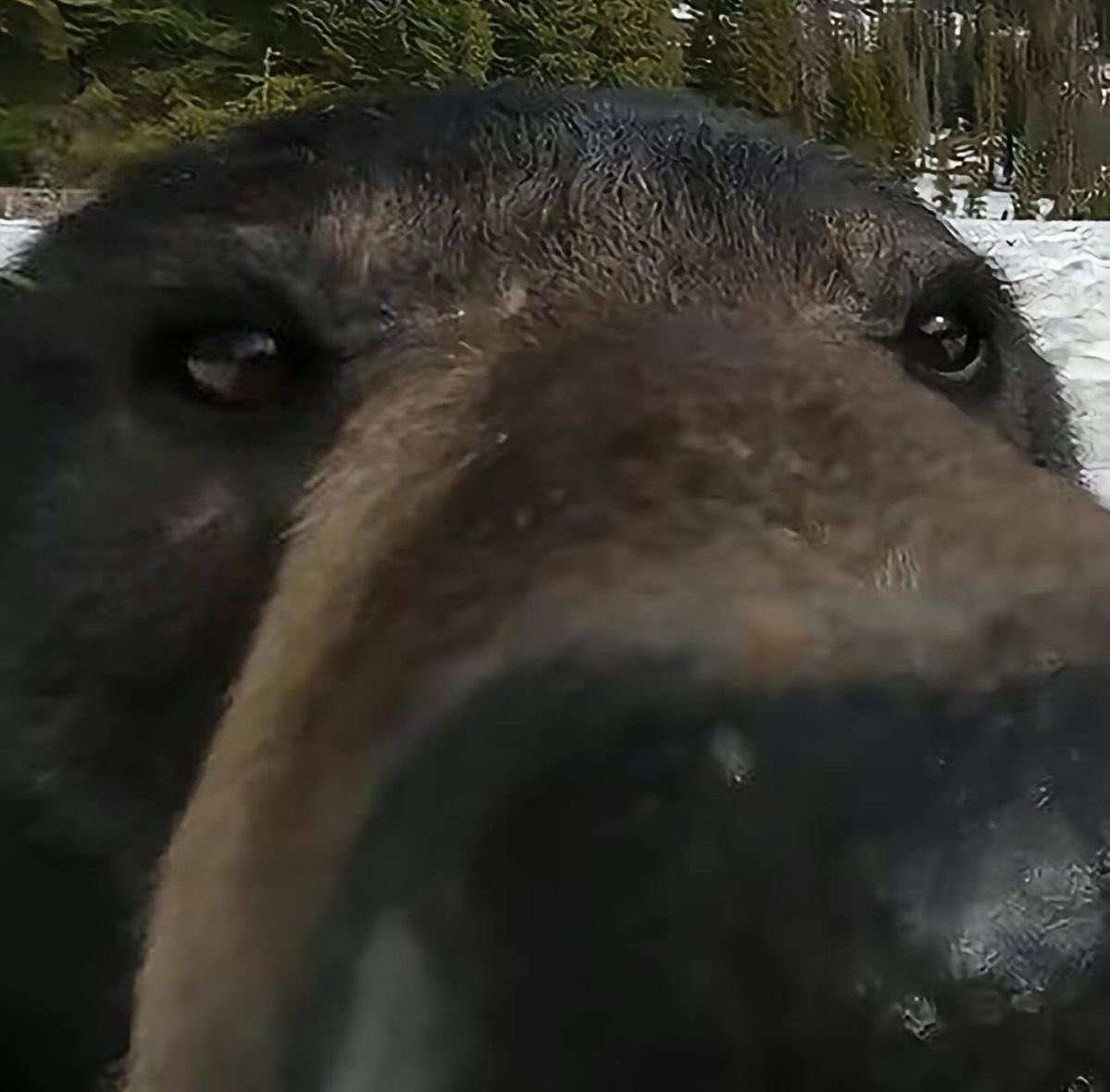 Pleebert🧸🐻 tweet media