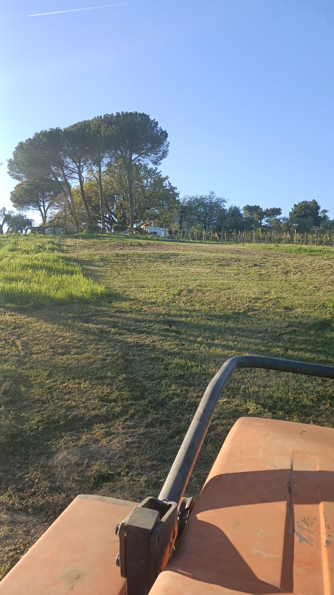 𝕱𝖆𝖇𝖎𝖔 𝕱𝖗𝖆𝖛𝖎𝖑𝖎 tweet media