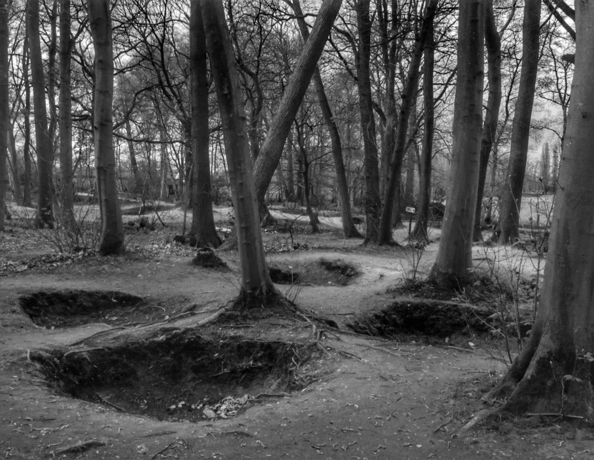 Andrew Holmes tweet media