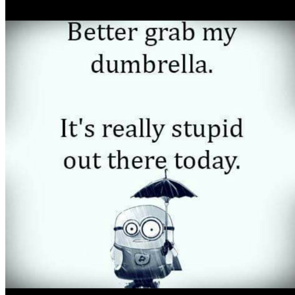 DaddyDawg tweet media