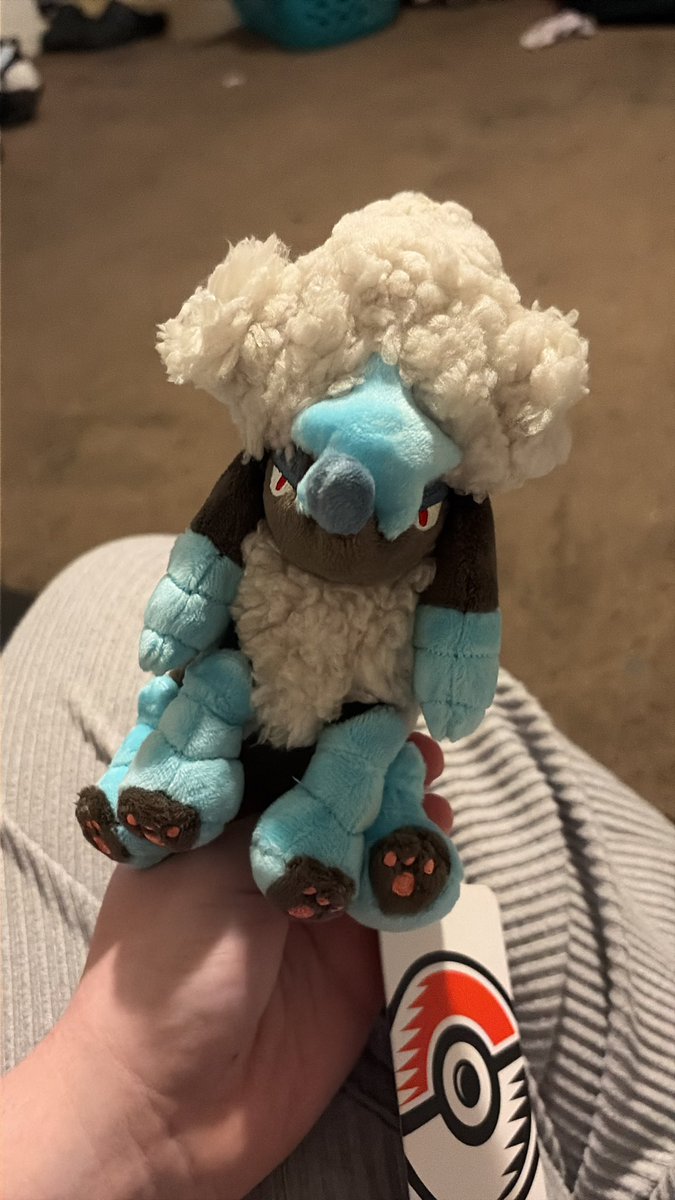 ๐๐พแฅฃ๐พ๐๐๐พห.๐ฆด แตแต tweet media