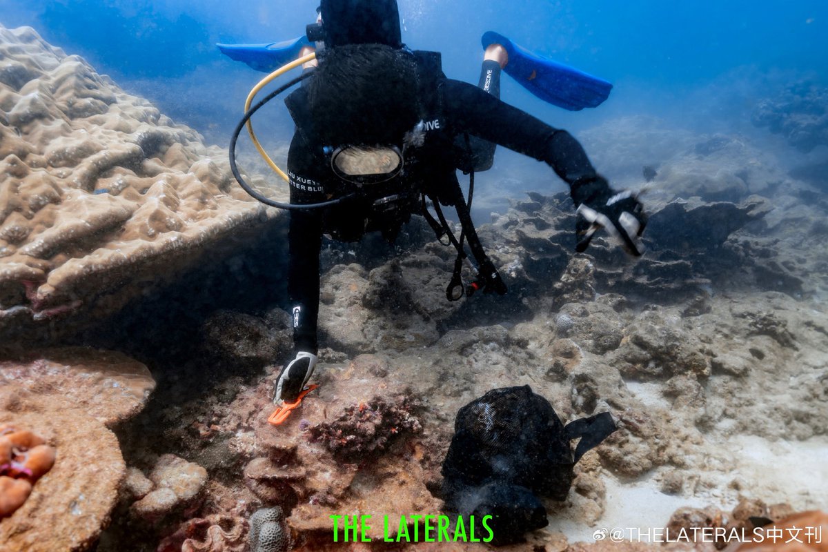 หลิวเสวียอี้ LIUXUEYI TH_UPDATE ʕ •ᴥ•ʔ 📝 tweet media