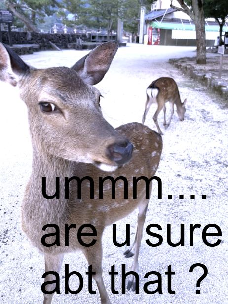 türkeri tweet media