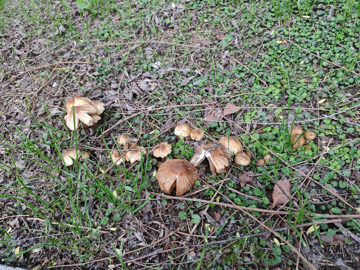 qiyu_tree's tweet photo. today is a beautiful day https://t.co/ru0plRhn5q