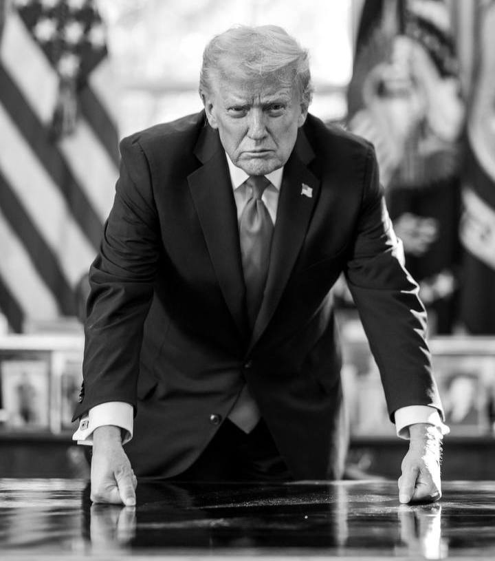 إخبارية tweet media