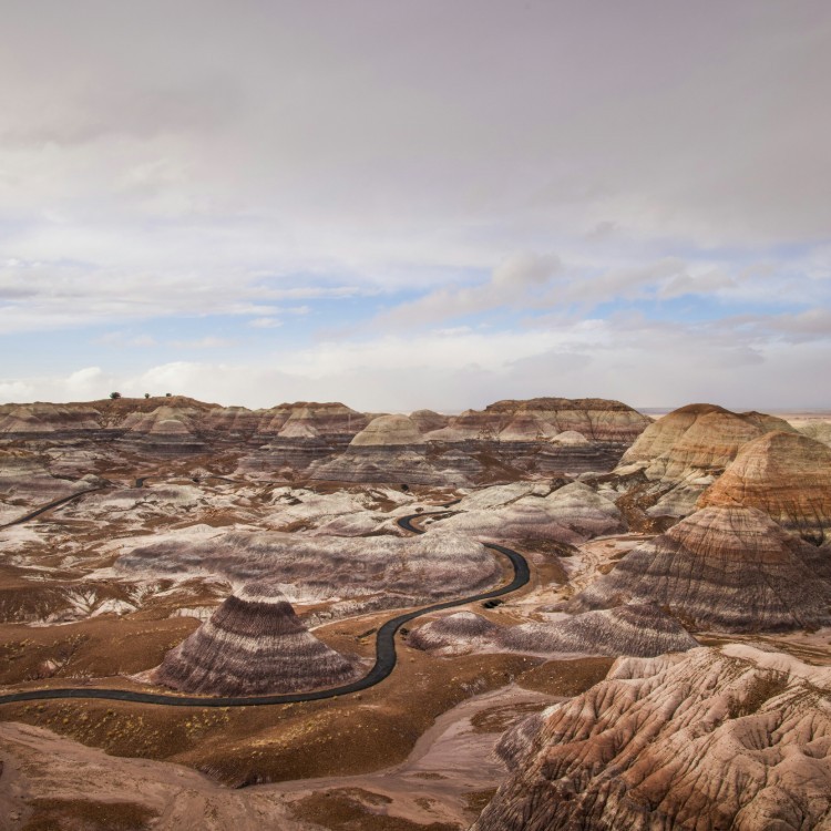 Petrified Forest National Park in Arizona is known for colourful fossilised trees that turned to stone millions of years ago. Visitors can walk easy trails, enjoy desert views, and learn about ancient life preserved in this unique and peaceful landscape.

#RouteTripUSA