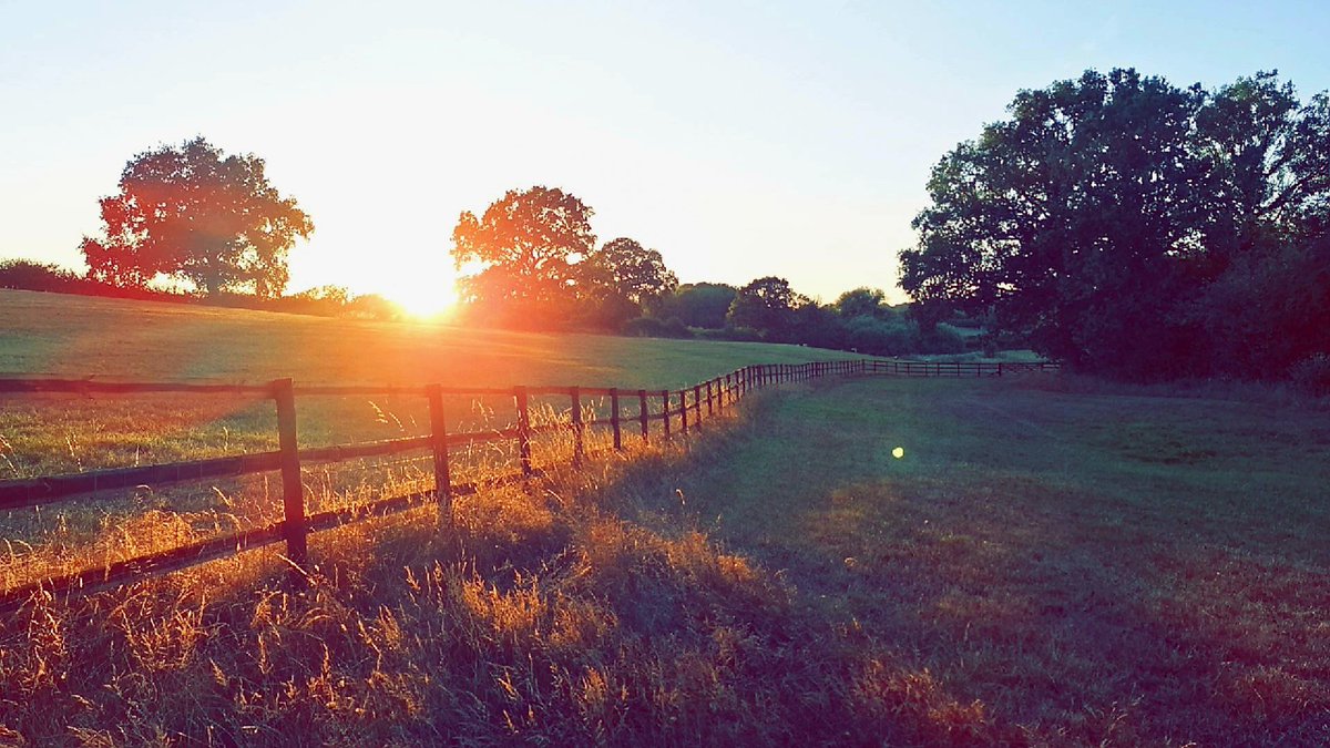 AwokenGiantUK 🇬🇧🦁 tweet media