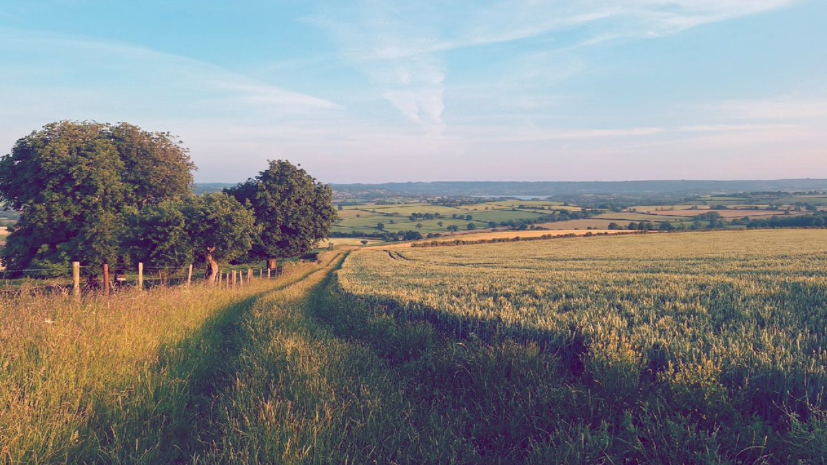 AwokenGiantUK 🇬🇧🦁 tweet media