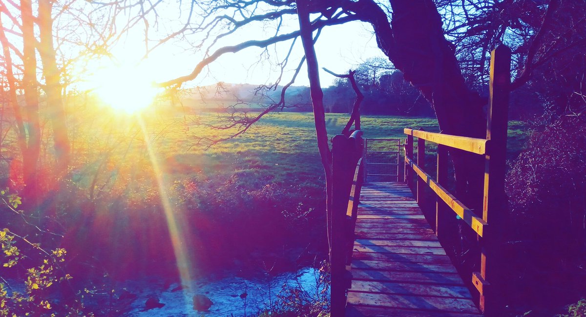 AwokenGiantUK 🇬🇧🦁 tweet media