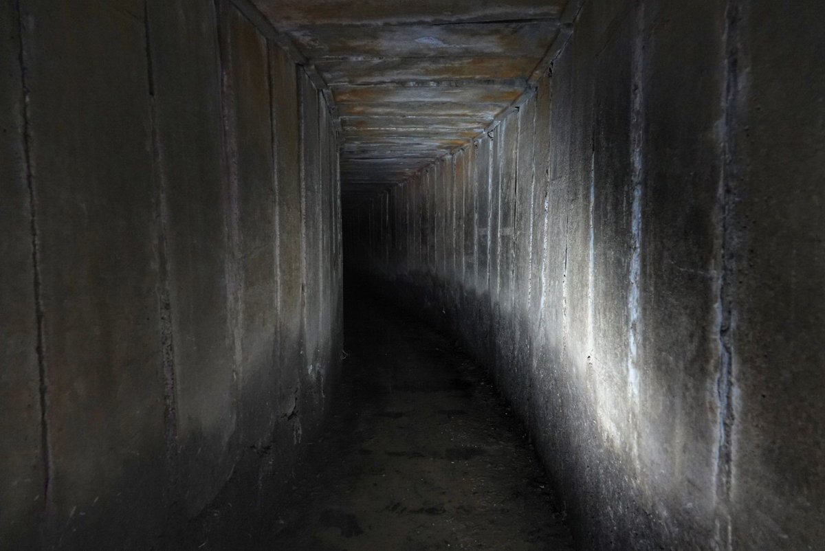 Andrew Holmes tweet media