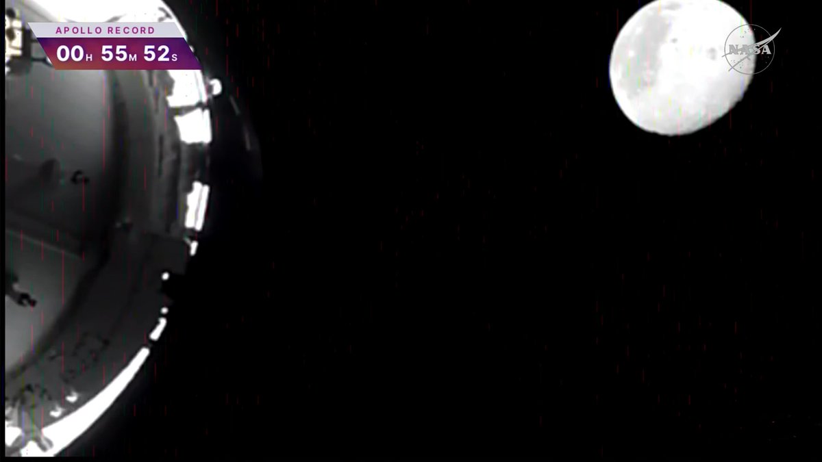 Кукуруза как у томакруза 🌽 tweet media