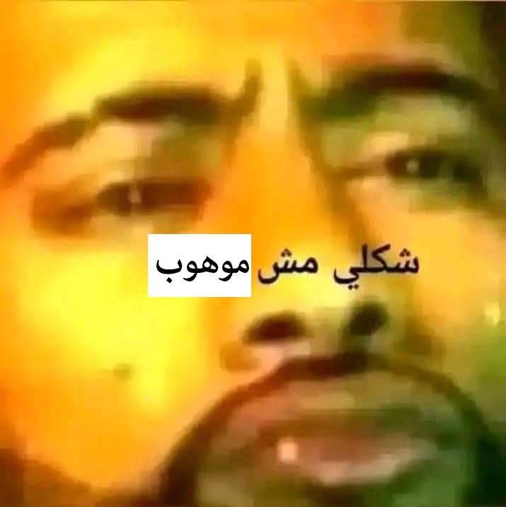 For Loop tweet media