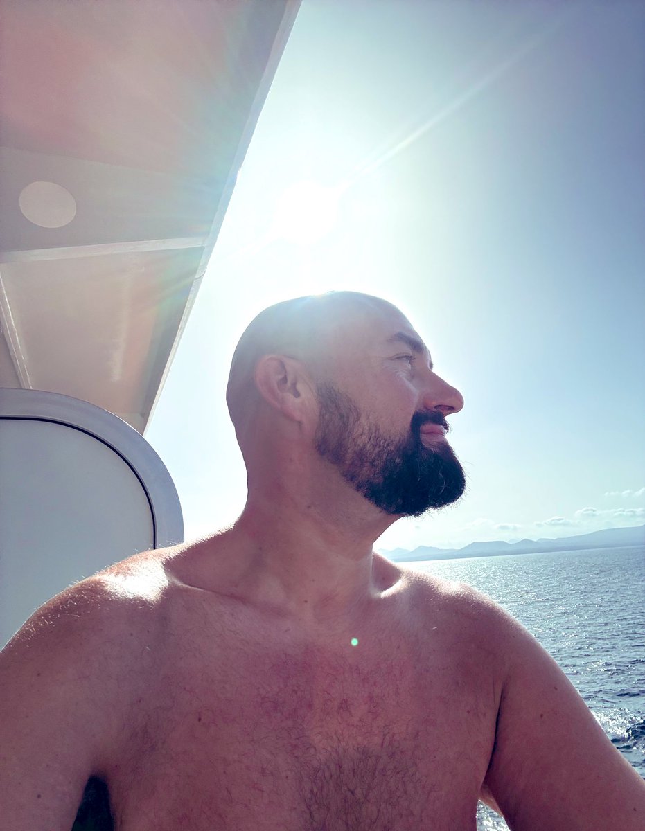 MajTheBear tweet media