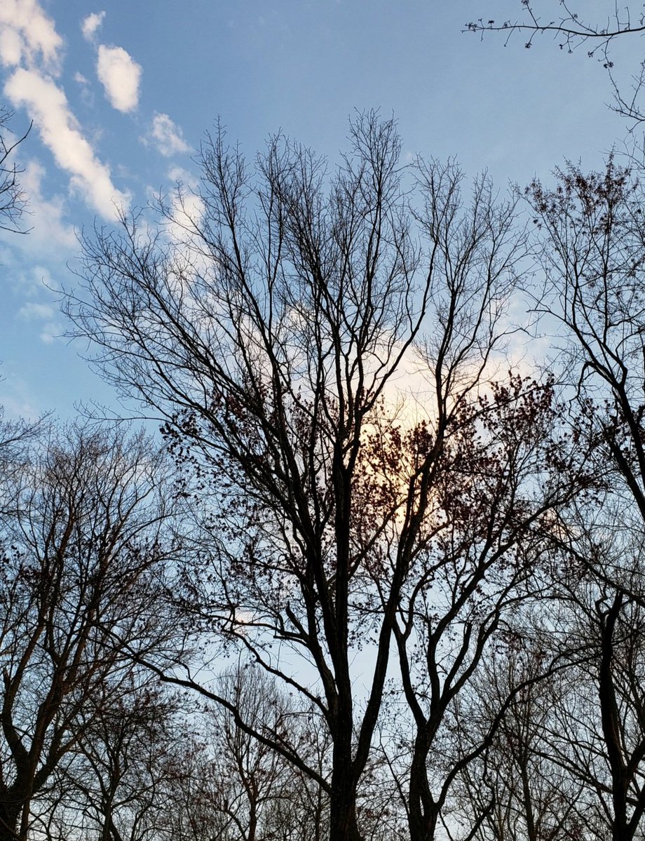 AcyRunway13's tweet image. Happy new week all ☀️☕️✨️
I saw my Doc this morning, everything is looking better from last week.
I'll be easing into the day, be well my friends ✨️
 #Monday #NewWeek #NJ 
#April #Spring #sunshine 
#NaturePhotography