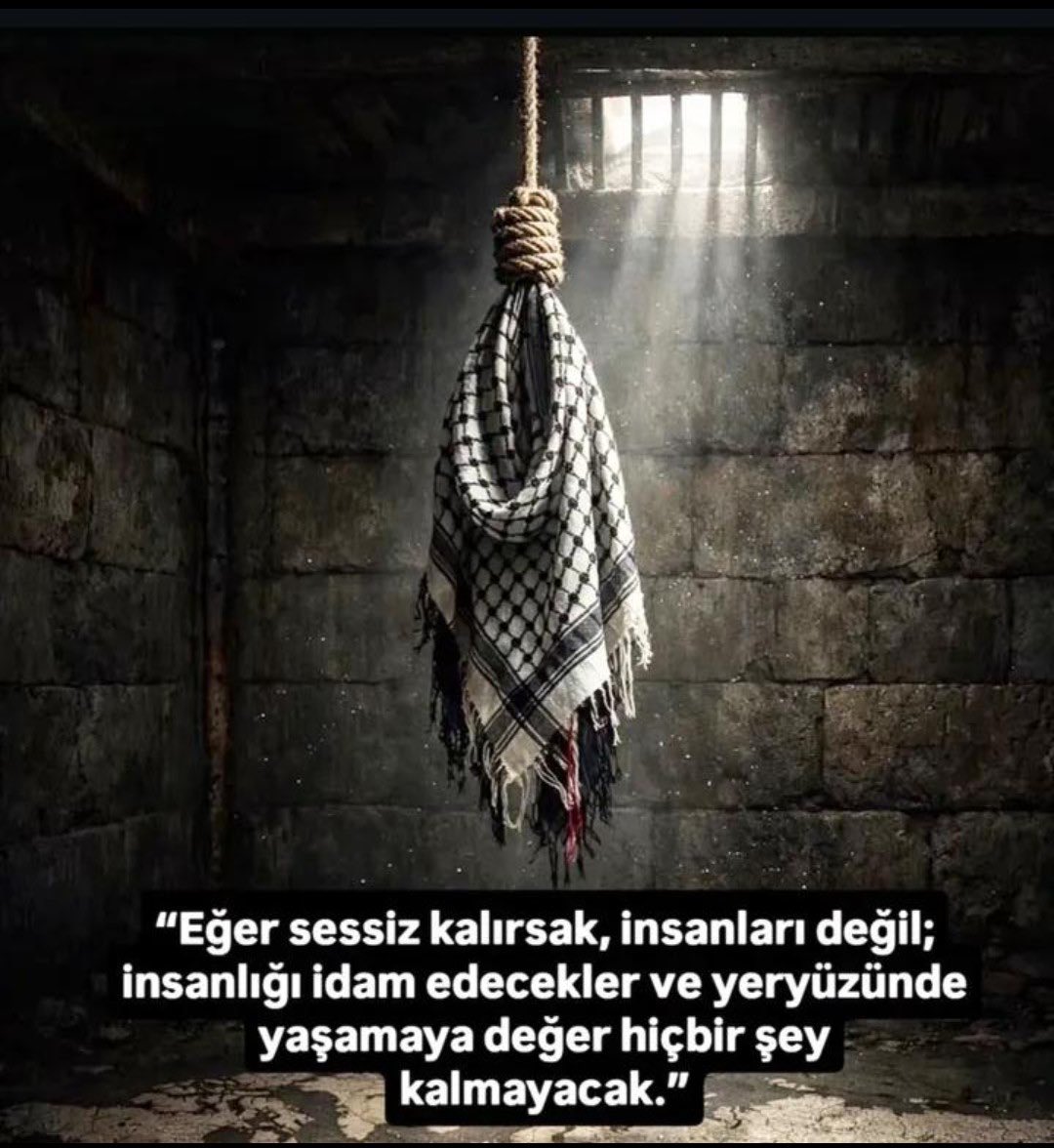 Ferit TORUNOĞLU 🇹🇷 tweet media