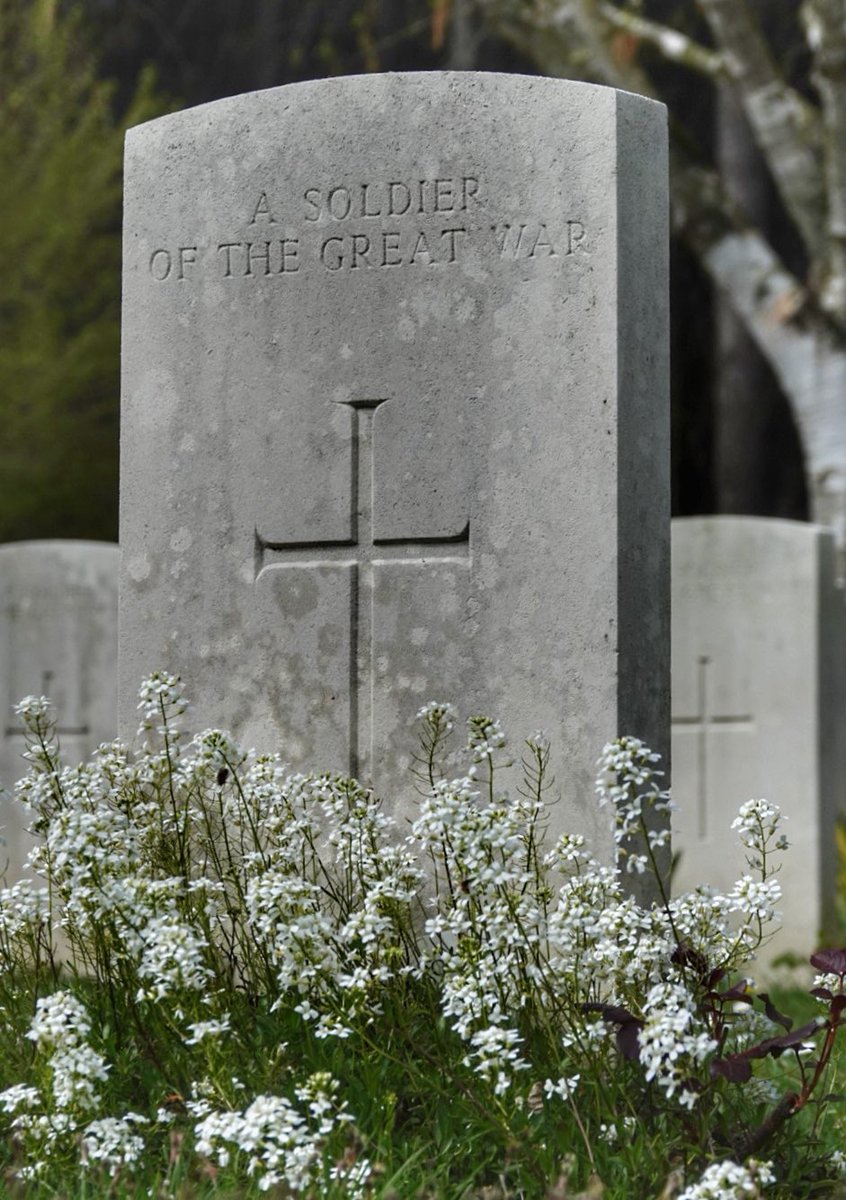 Andrew Holmes tweet media