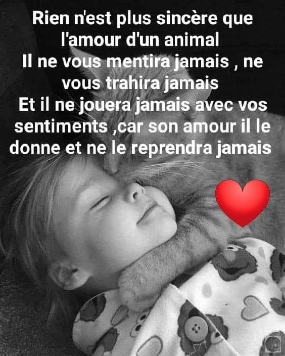 Elerinna tweet media