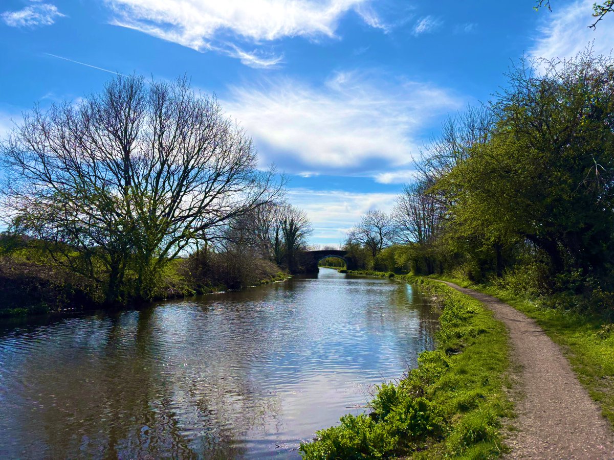 mileswithshell's tweet image. Gorgeous afternoon for a run ☀️ #ukrunchat