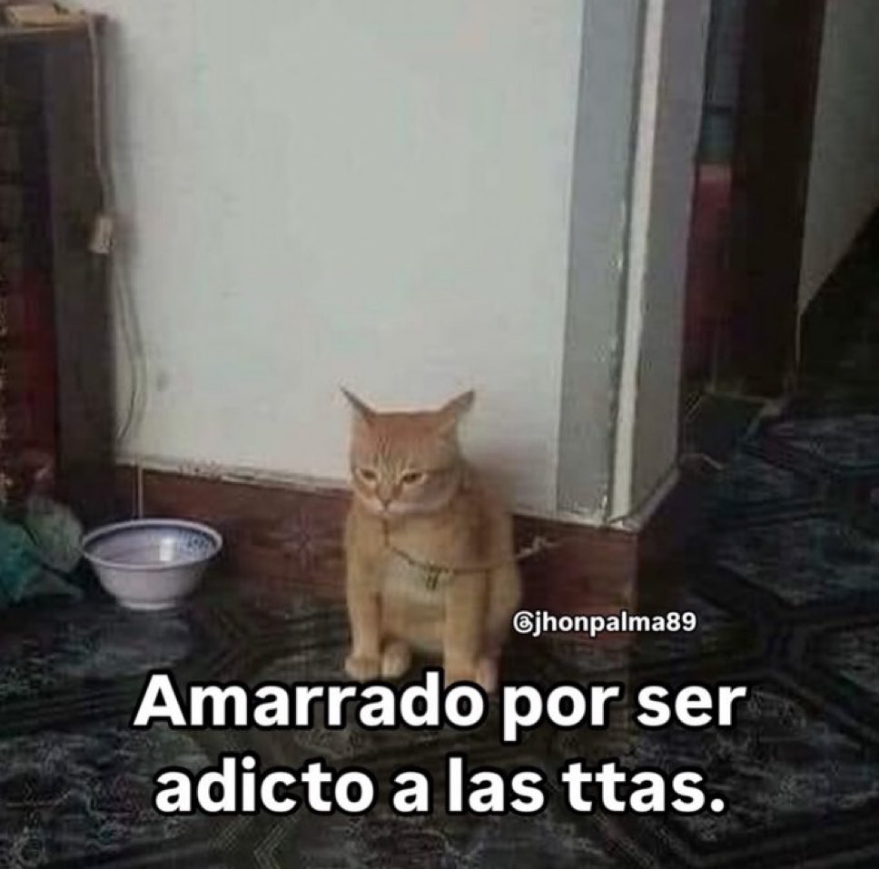 🌙 mini textos tweet media