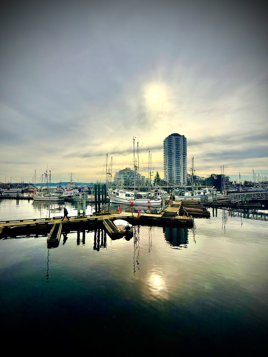 David “King Of Boogie” Gogo tweet media