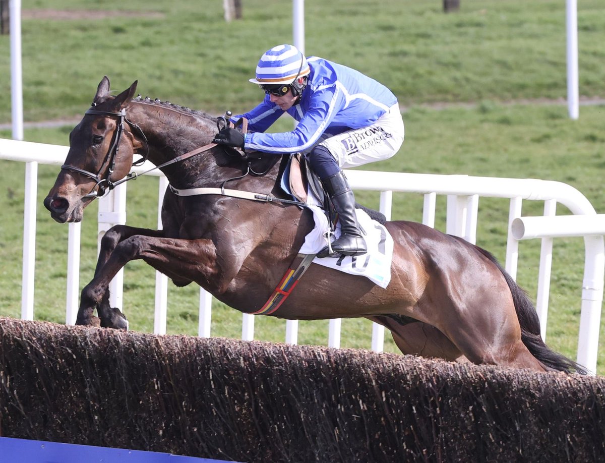 WillieMullinsNH's tweet photo. Proof that class never fades 💙

Energumene and @PTownend land the Grade 2 Underwriting Exchange @Fairyhouse Chase this afternoon 🙌🥇

Congratulations to owner Tony Bloom and groom Imran 👏

📸 Caroline Norris https://t.co/hRehTIjAEC