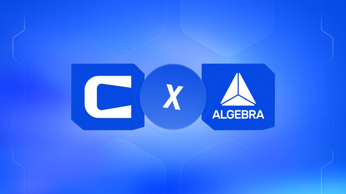 Cicada Market Making tweet media