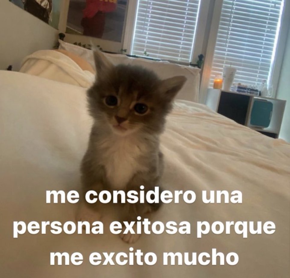 🌙 mini textos tweet media