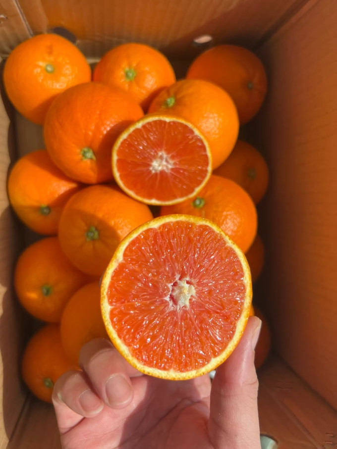 Elspeth Myles tweet media