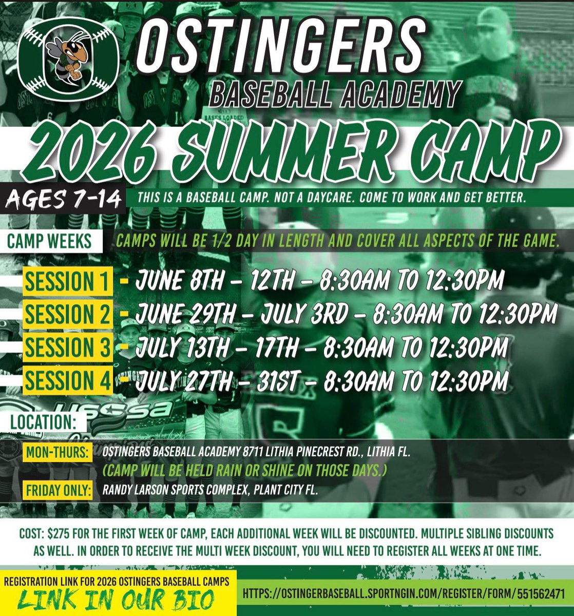 Ostingers Baseball tweet media