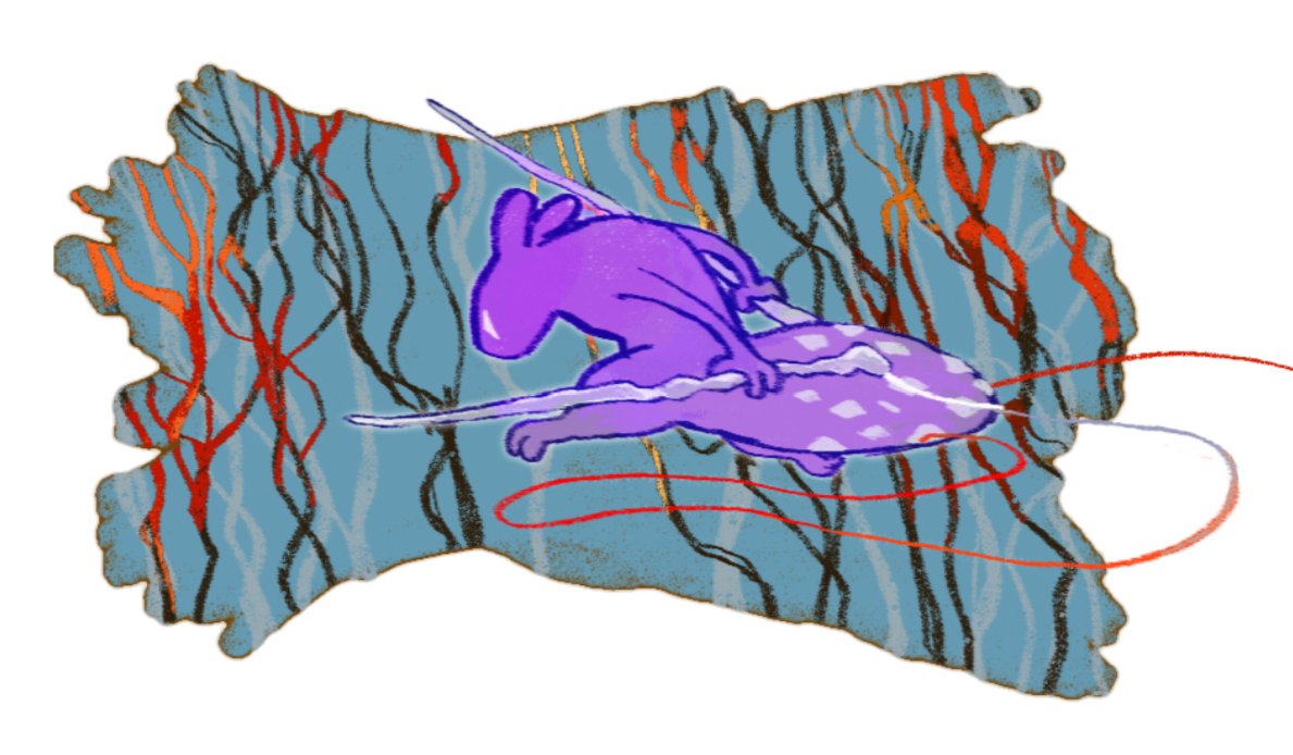 HICCUP🍚 tweet media