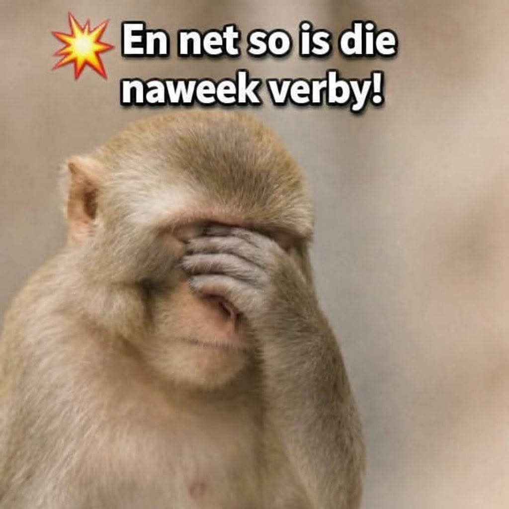 Barney Simon tweet media