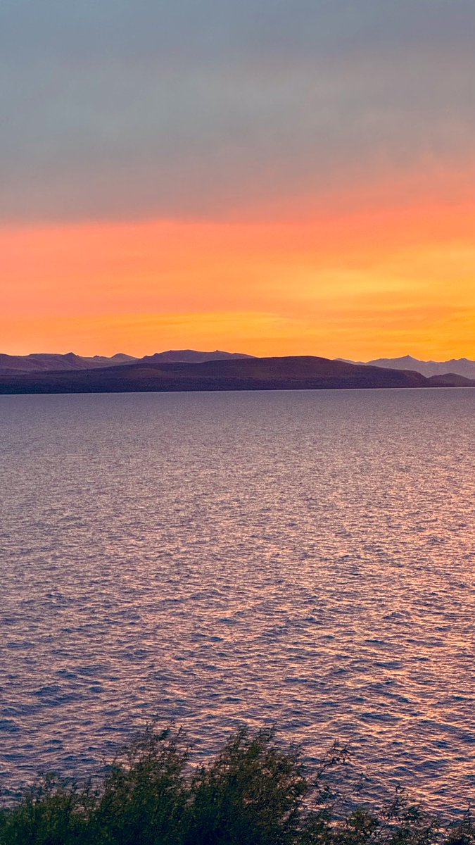 Thomas Shelby tweet media