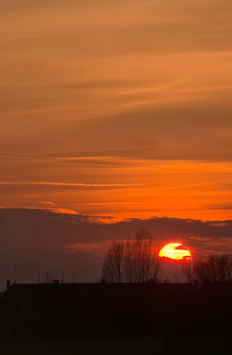 Monica 🍀⚘️🌍📚🐞🎧 tweet media