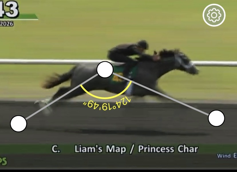 Save Horse Racing tweet media