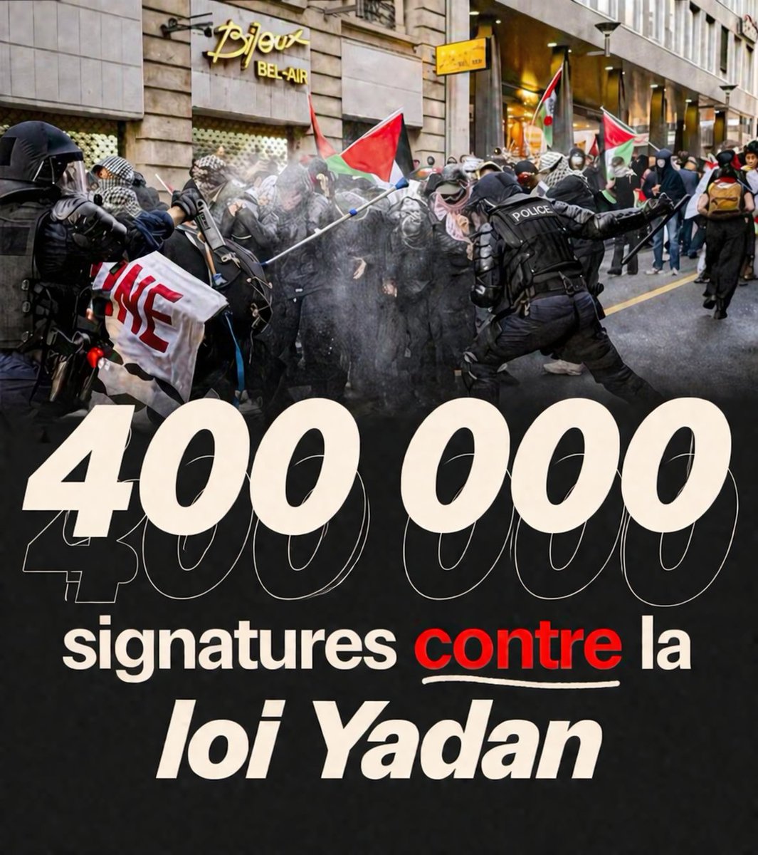 LaLigueTurtles_ 🐢🐢🐢🔻 tweet media