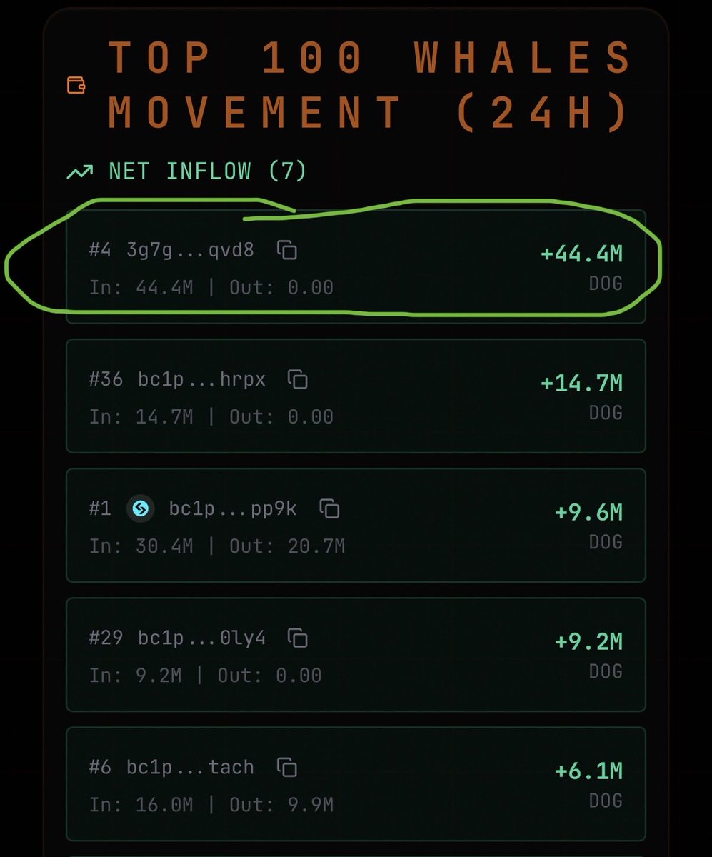 Vincent (Cryptolution) 👑 tweet media