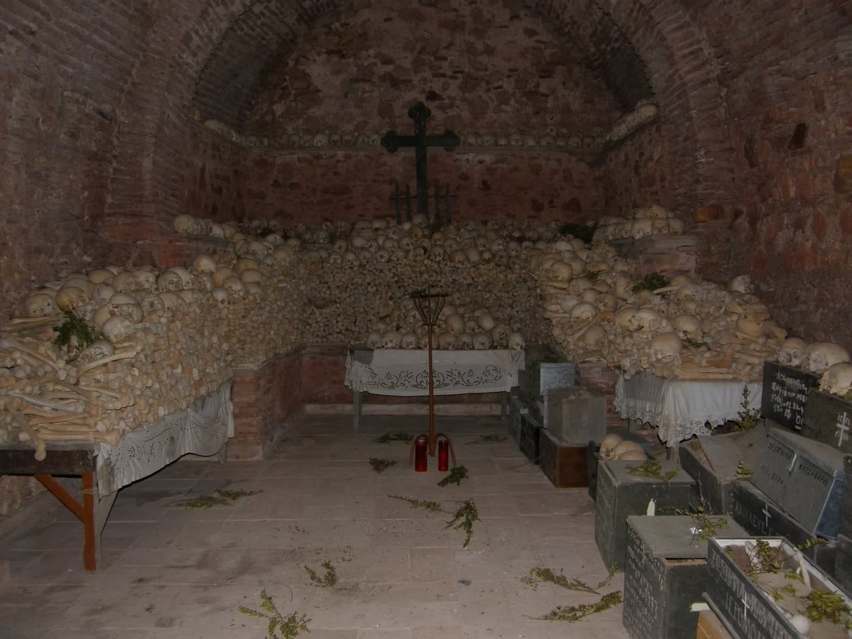 Homer Pavlos tweet media